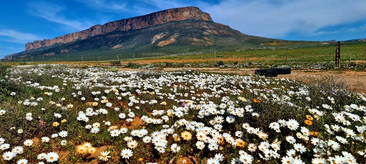 Mountain View Guesthouse Vanrhynsdorp Exterior foto